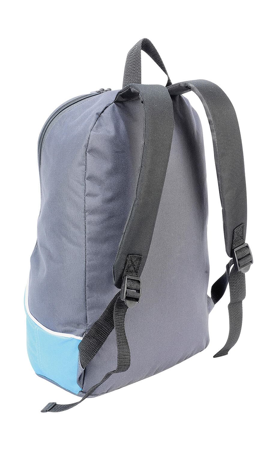 Fuji Basic Backpack - vue 3